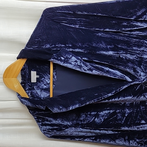 Ecru Blue Rayon-Silk Crushed Velvet Blazer Size M - Picture 2 of 8